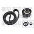 1 kit de distribution Quinton Hazell QBK291