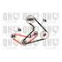 1 kit de distribution Quinton Hazell QBK415