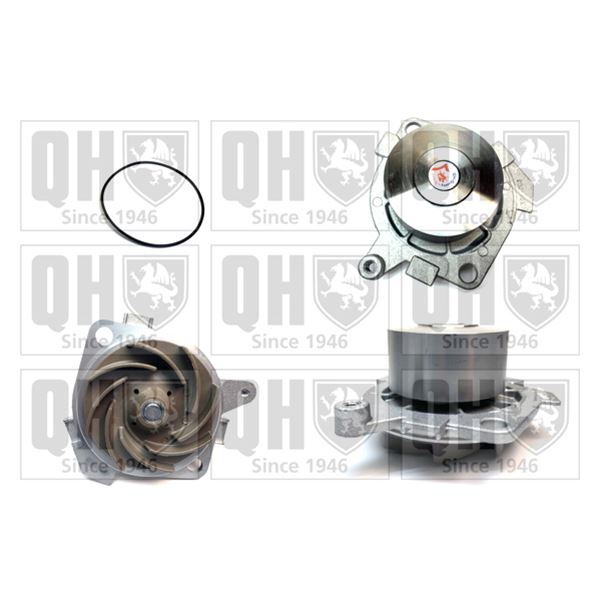1 pompe à eau Quinton Hazell QCP3219