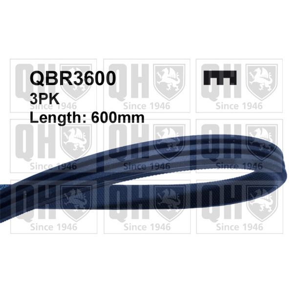 1 courroie d'entrainement Quinton Hazell QBR3600