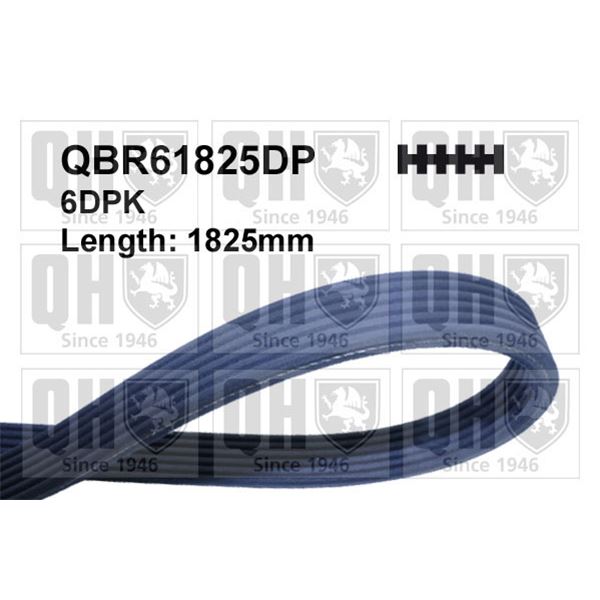 1 courroie d'entrainement Quinton Hazell QBR61825DP