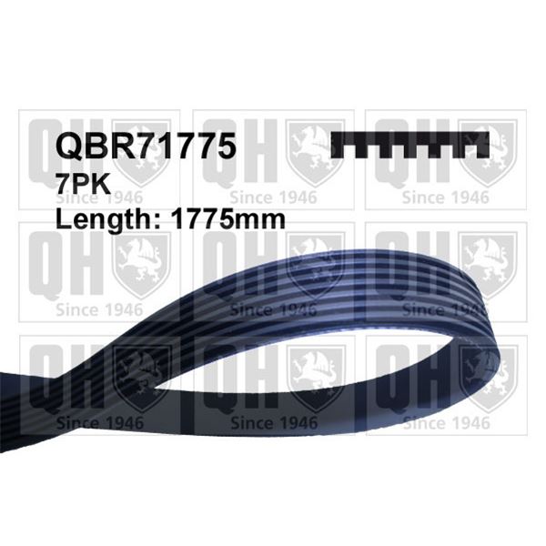 1 courroie d'entrainement Quinton Hazell QBR71775