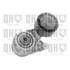 1 galet d'entrainement Quinton Hazell QTA923