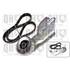 1 kit d'entrainement Quinton Hazell QDK9