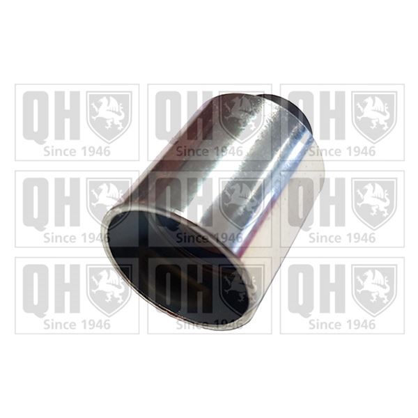 1 galet de distribution Quinton Hazell QTT1072