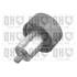 1 galet de distribution Quinton Hazell QTT1082