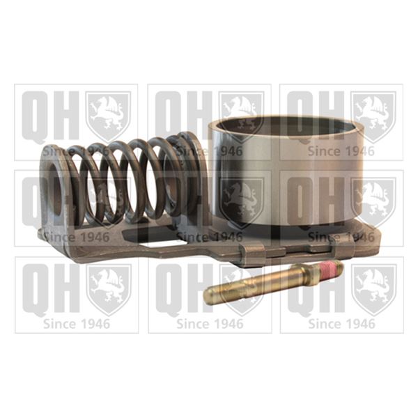 1 galet de distribution Quinton Hazell QTT121