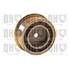 1 galet de distribution Quinton Hazell QTT168
