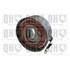 1 galet de distribution Quinton Hazell QTT409