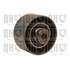 1 galet de distribution Quinton Hazell QTT815