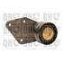 1 galet de distribution Quinton Hazell QTT820