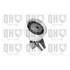 1 galet de distribution Quinton Hazell QTT843