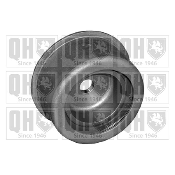 1 galet de distribution Quinton Hazell QTT979