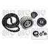 1 kit de distribution Quinton Hazell QBK176