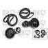 1 kit de distribution Quinton Hazell QBK275