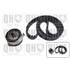 1 kit de distribution Quinton Hazell QBK391