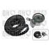 1 kit de distribution Quinton Hazell QBK395