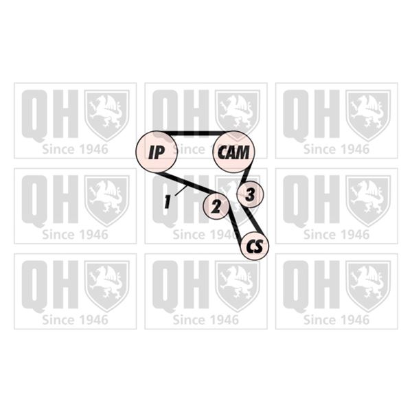 1 kit de distribution Quinton Hazell QBK556