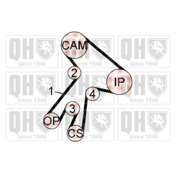1 kit de distribution Quinton Hazell QBK593