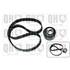 1 kit de distribution Quinton Hazell QBK633