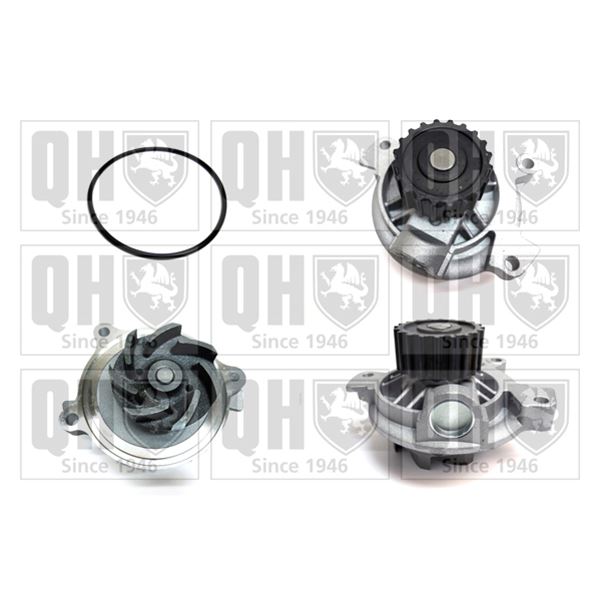 1 pompe à eau Quinton Hazell QCP3620
