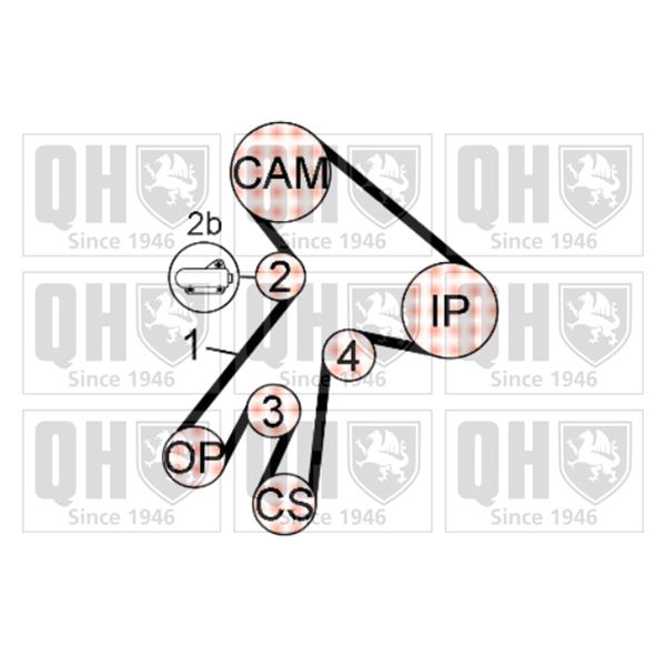 1 kit de distribution Quinton Hazell QBK703