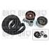 1 kit de distribution Quinton Hazell QBK461