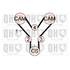 1 kit de distribution Quinton Hazell QBK724