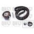 1 kit de distribution Quinton Hazell