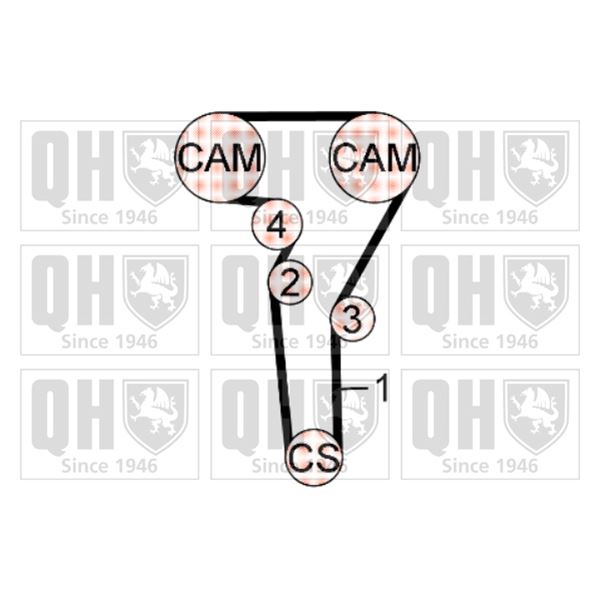 1 kit de distribution Quinton Hazell QBK791