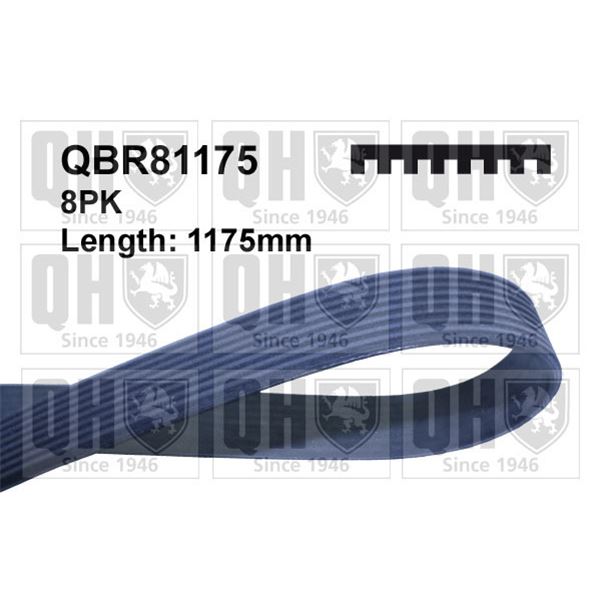 1 courroie d'entrainement Quinton Hazell QBR81175