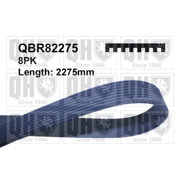 1 courroie d'entrainement Quinton Hazell QBR82275