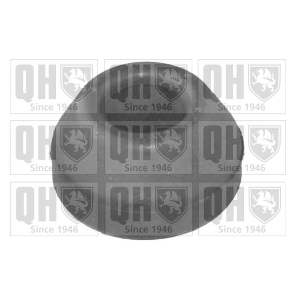1 silentbloc de suspension Quinton Hazell EMS8099