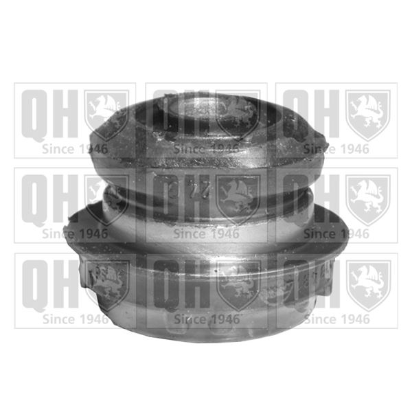 1 silentbloc de suspension Quinton Hazell EMS8120