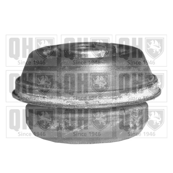 1 silentbloc de suspension Quinton Hazell EMS8125