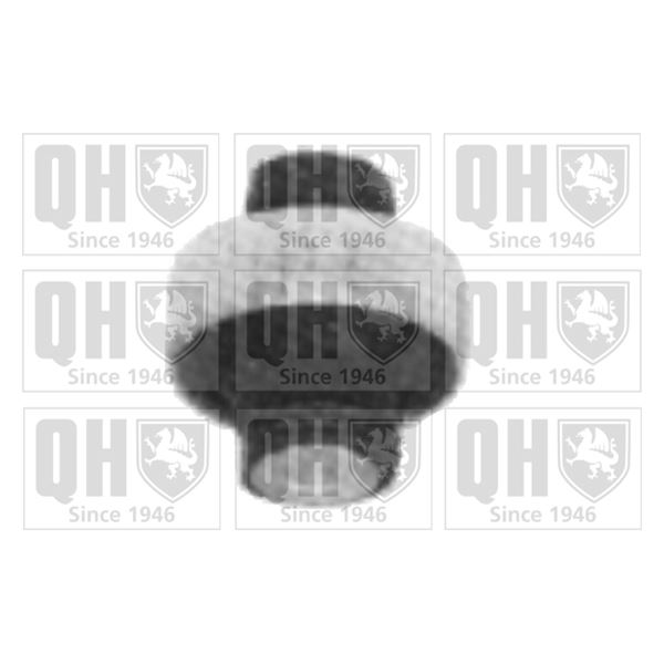 1 silentbloc de suspension Quinton Hazell EMS8156