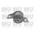 1 silentbloc de suspension Quinton Hazell EMS8253