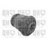 1 silentbloc de suspension Quinton Hazell EMS8303