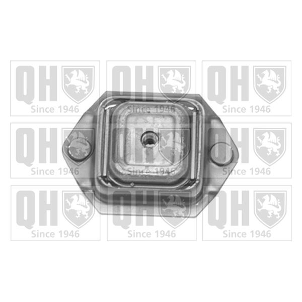 1 silentbloc de suspension arrière Quinton Hazell EMS8323