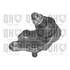 1 rotule de suspension droite Quinton Hazell QSJ1135S