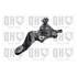 1 rotule de suspension droite Quinton Hazell QSJ3379S