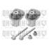 Kit Silentbloc QSK230S