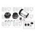 Kit Silentbloc QSK256S