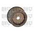 1 galet de distribution Quinton Hazell QTT1165