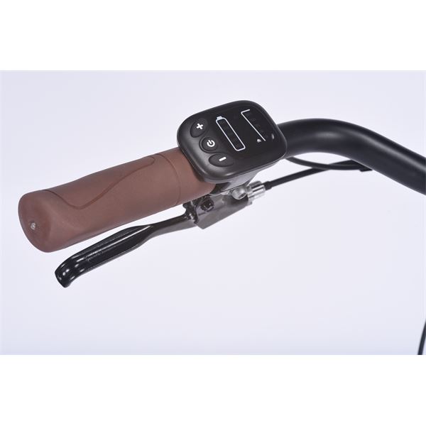 Vélo de ville électrique mixte Feu Vert E-Roll 50 Retro