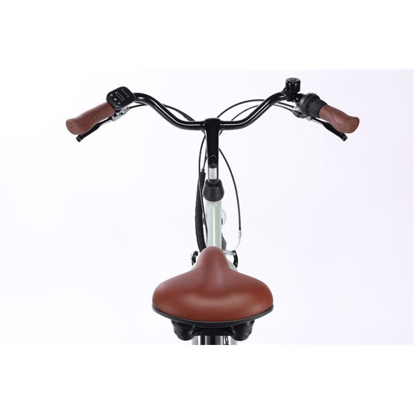 Vélo de ville électrique mixte Feu Vert E-Roll 54 Vert Sauge